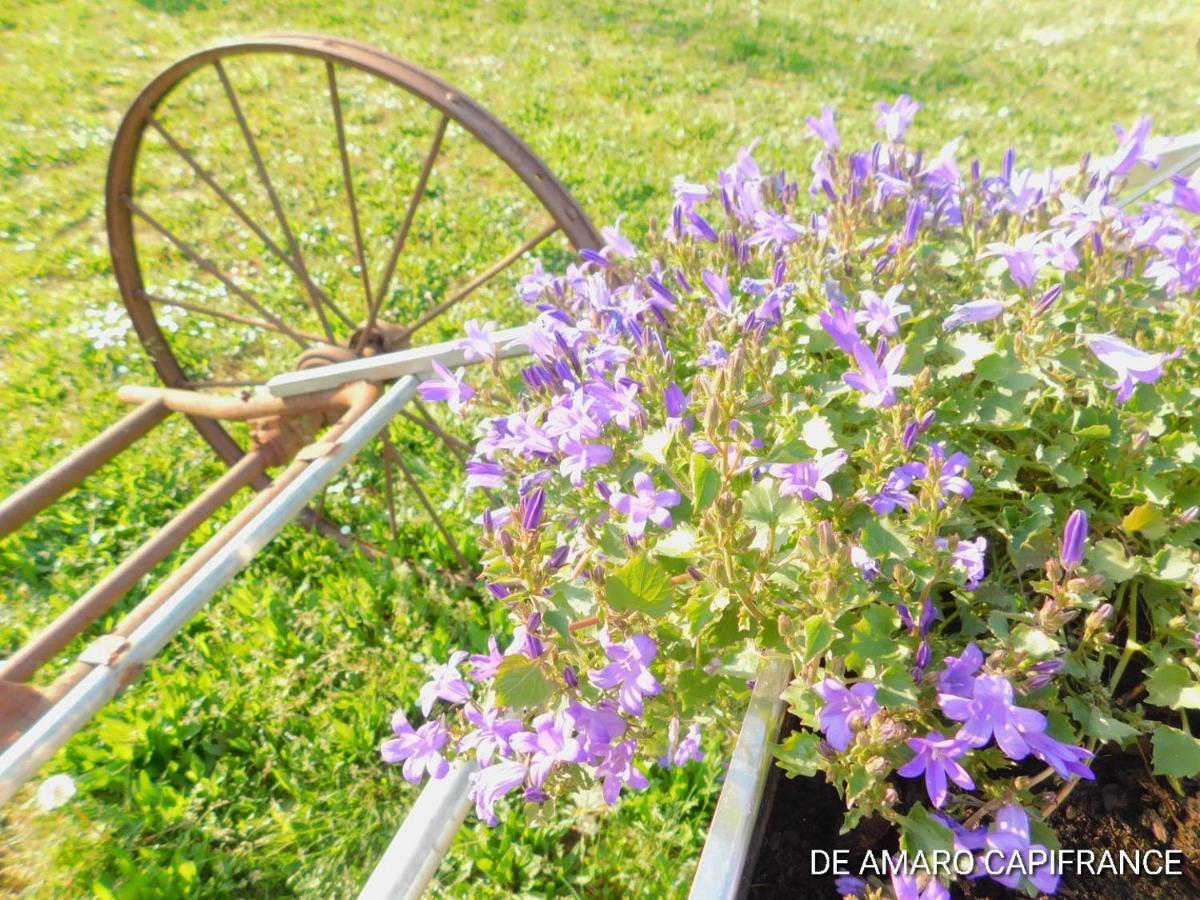 Le Puits De Garival Bed & Breakfast Tour-de-Faure Dış mekan fotoğraf
